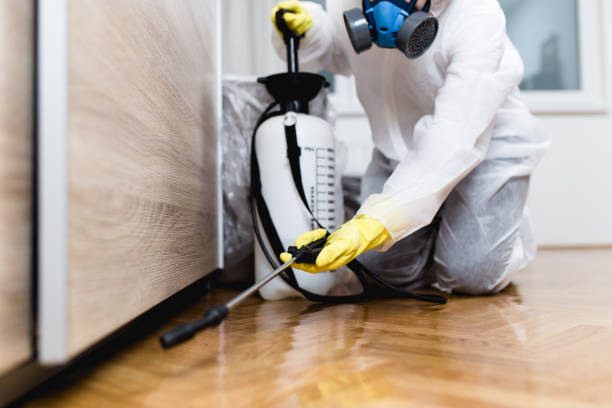 Flea Control Services in Pennsboro, WV