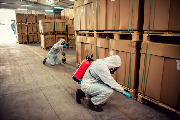 Best Wasp Removal Services  in Pennsboro, WV