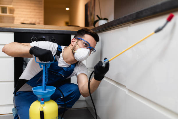 Best Cockroach Control Services  in Pennsboro, WV