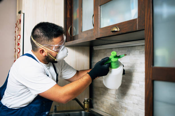 Best Termite Control Services  in Pennsboro, WV