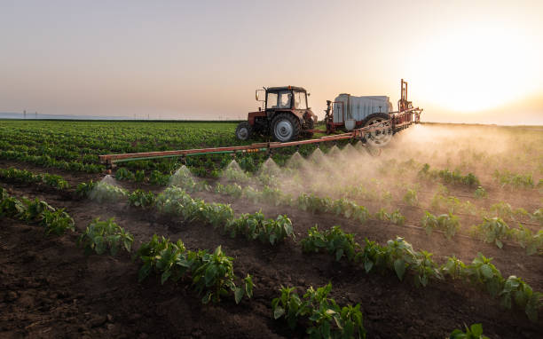 Best Pest Removal Services  in Pennsboro, WV