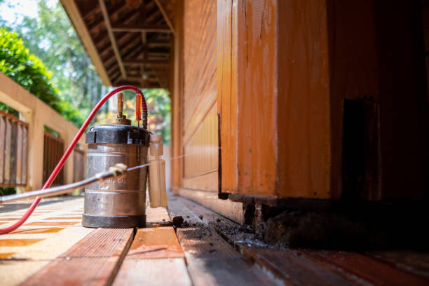 Best Pest Prevention Services  in Pennsboro, WV